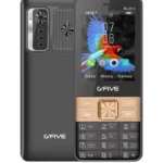 GFIVE Big Bird