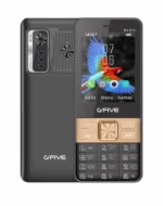 GFIVE Big Bird