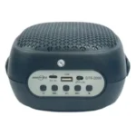 GTS-2009 Portable Karaoke Speaker with Dual Wireless Microphones - Image 2