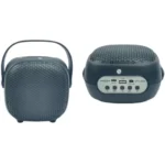 GTS-2009 Portable Karaoke Speaker with Dual Wireless Microphones